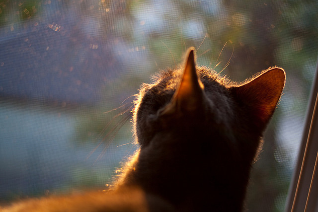 熊猫体育官方网站-AR游戏新玩法：现实与虚拟的融合，ar虚拟游戏体验