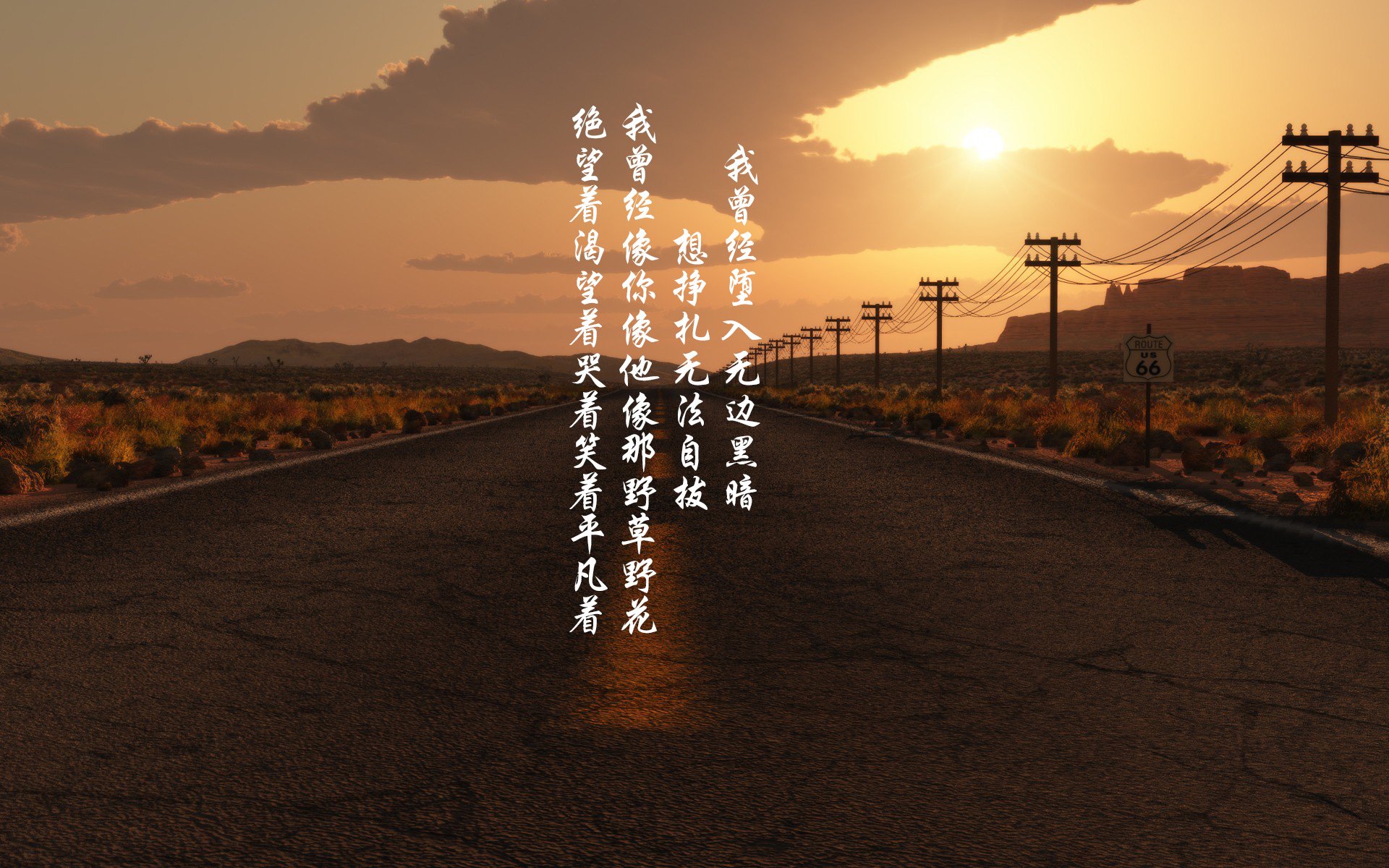 中国花样游泳队演绎东方美学，裁判齐赞创新编排，中国花样游泳队领队