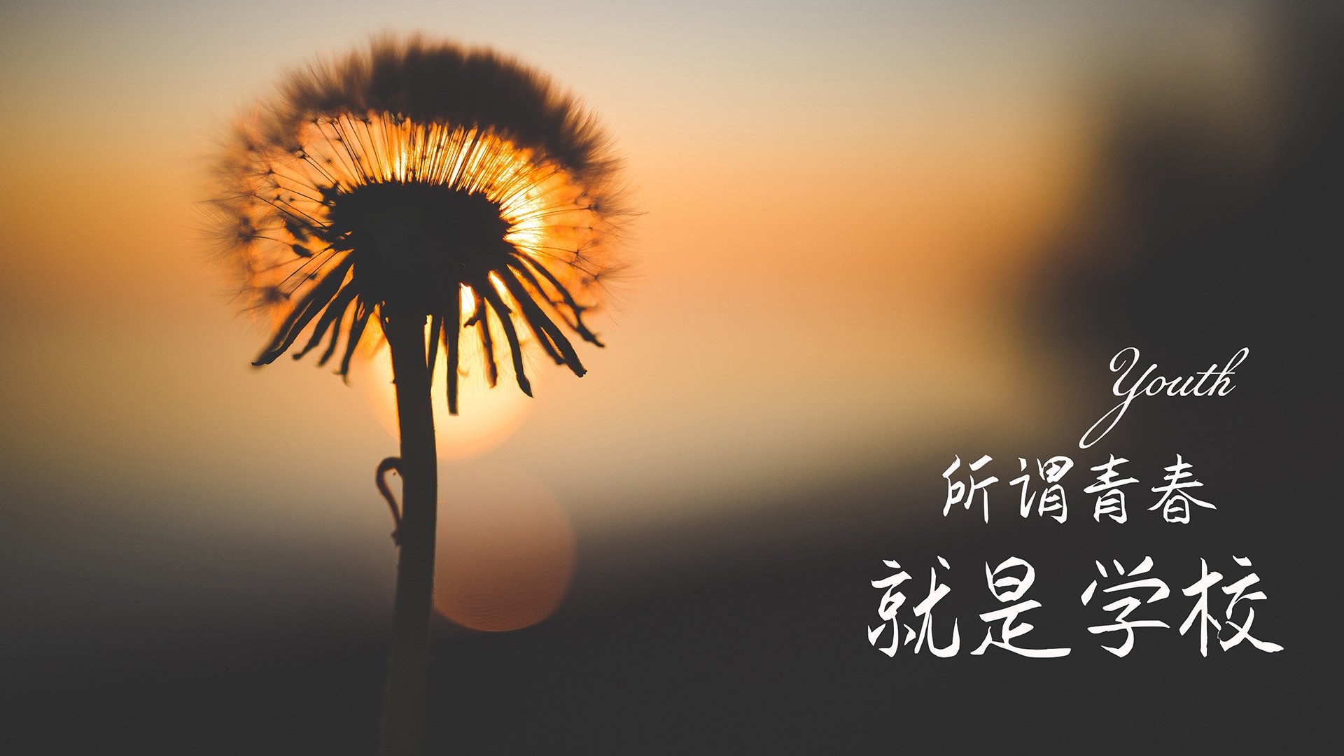 全国青少年“篮球+科技”创新成果展在广州盛大开启，推动产业升级