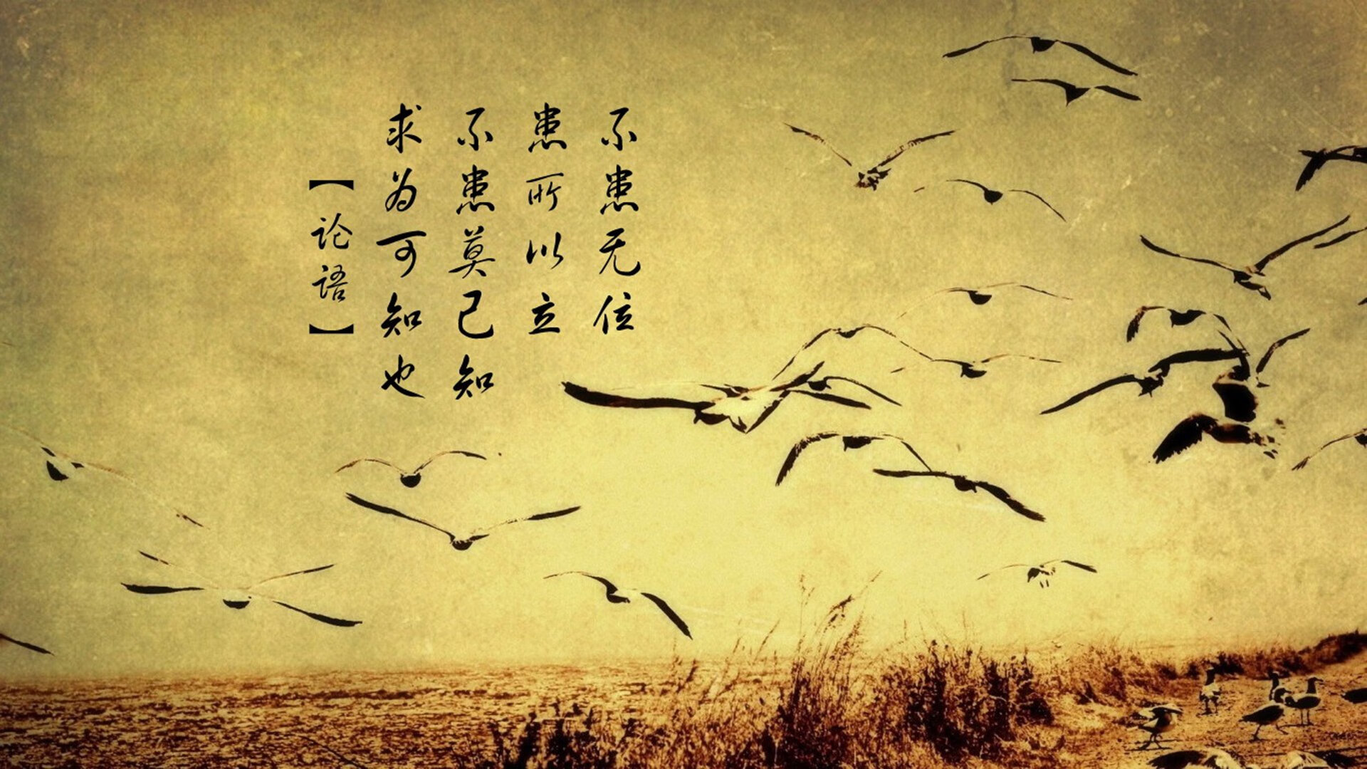 塞内加尔马术协会与美洲马术协会合作，举办国际马术交流活动，促进文化互鉴。