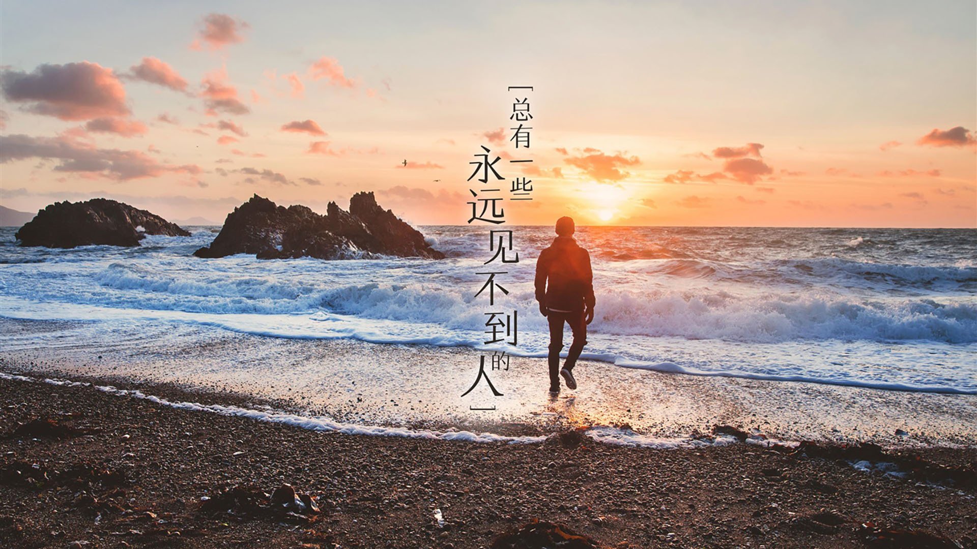 特色秋季森林跑，感受自然的美丽与运动的快乐，秋季森林下载安装