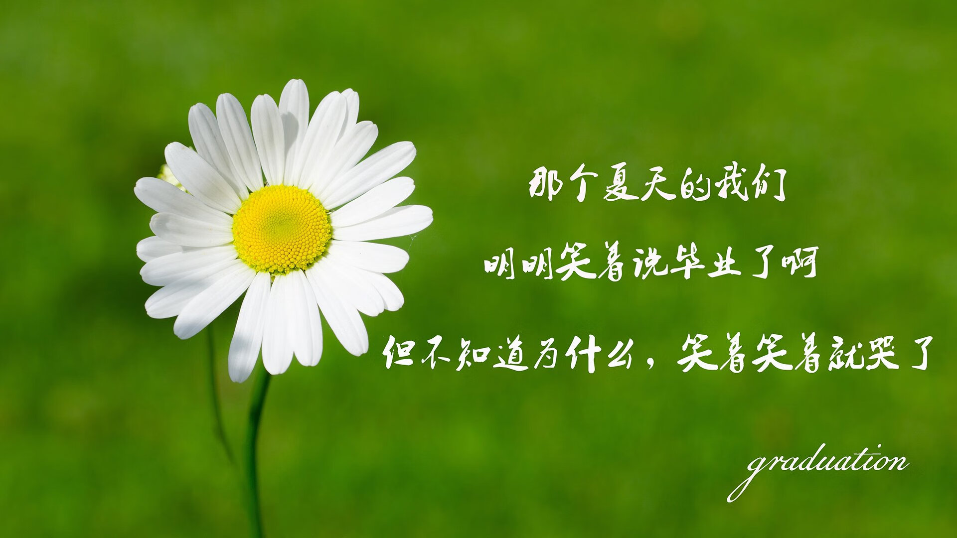张某在女足比赛中表现出色，成为焦点，张某擅长撰写足球评论