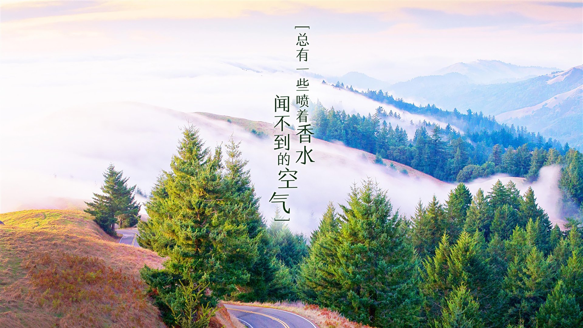 明斯特球员坚守阵地，最终取得宝贵的三分，明斯特足球俱乐部