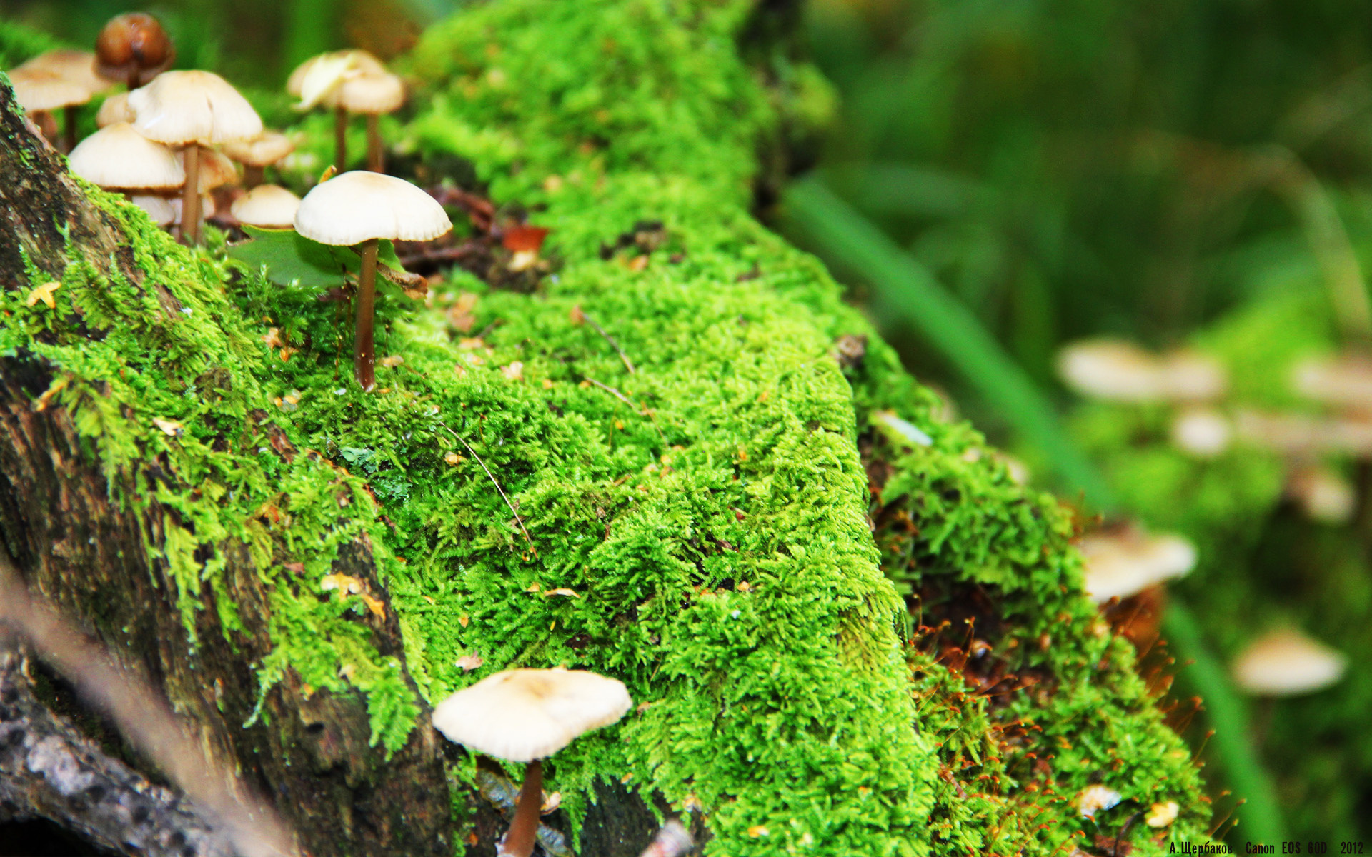 篮球运动员专项体能训练恢复技术科学研究与应用,篮球体能恢复训练教案