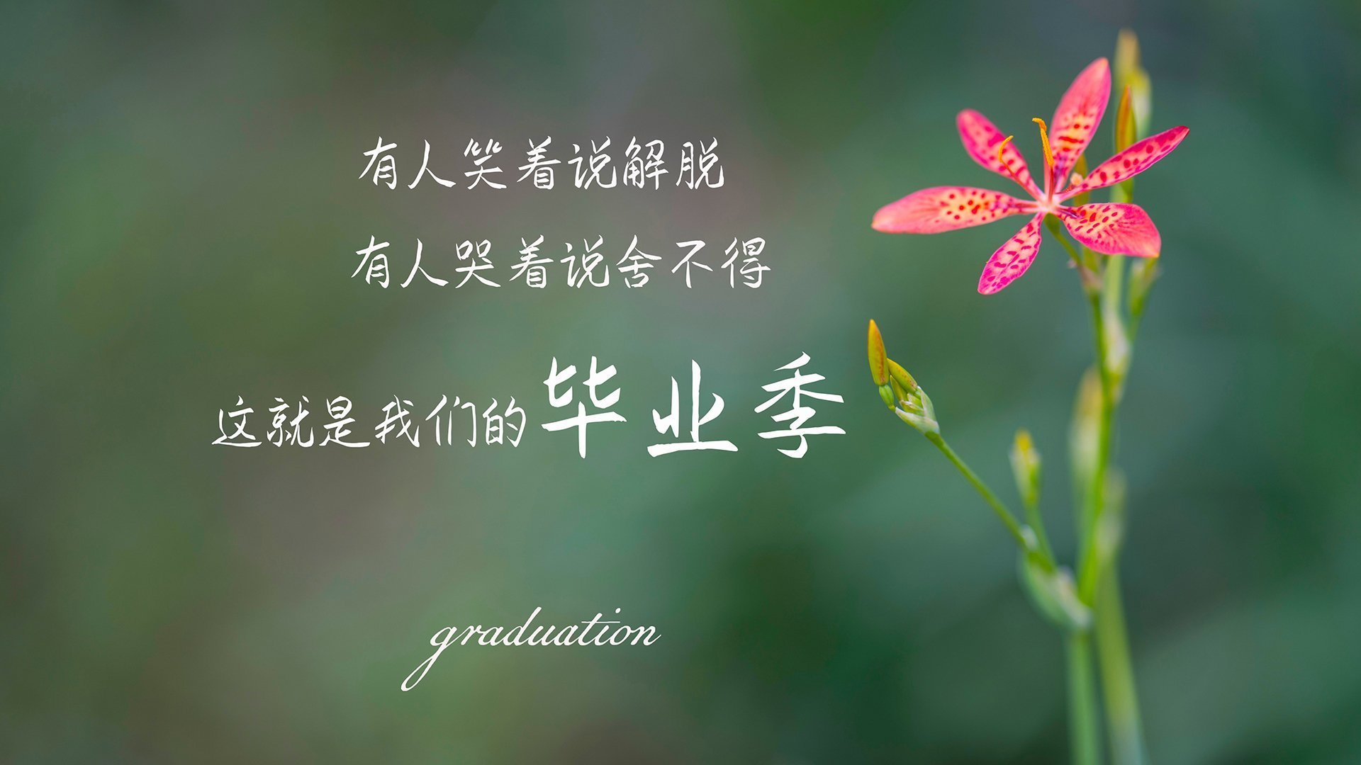 英超青训引入虚拟现实技术强化战术理解，英超青训最好的球队