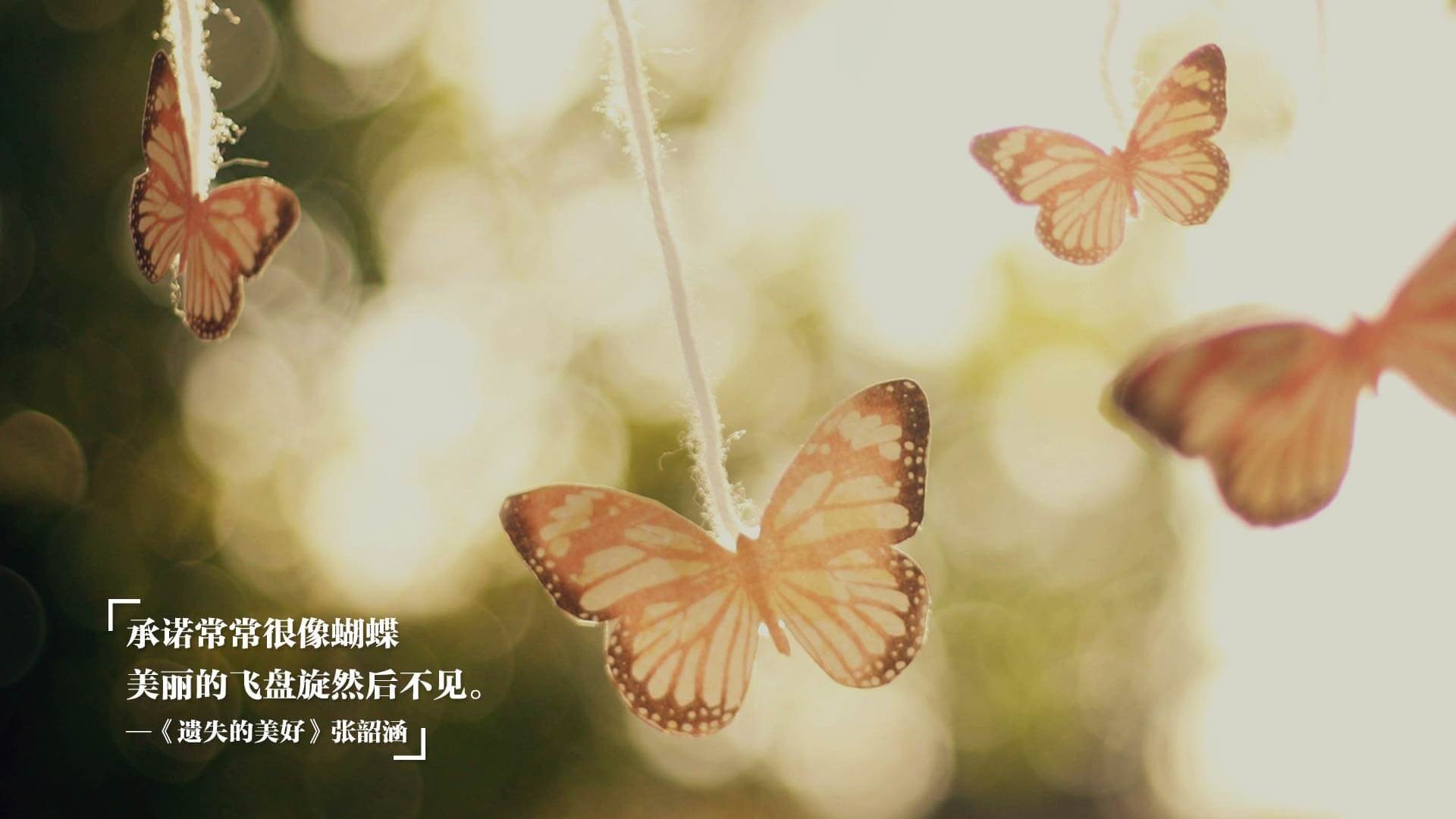 熊猫体育app官网-英超青训营教练员换位体验提升术科教学效率，英超教练团队的构成