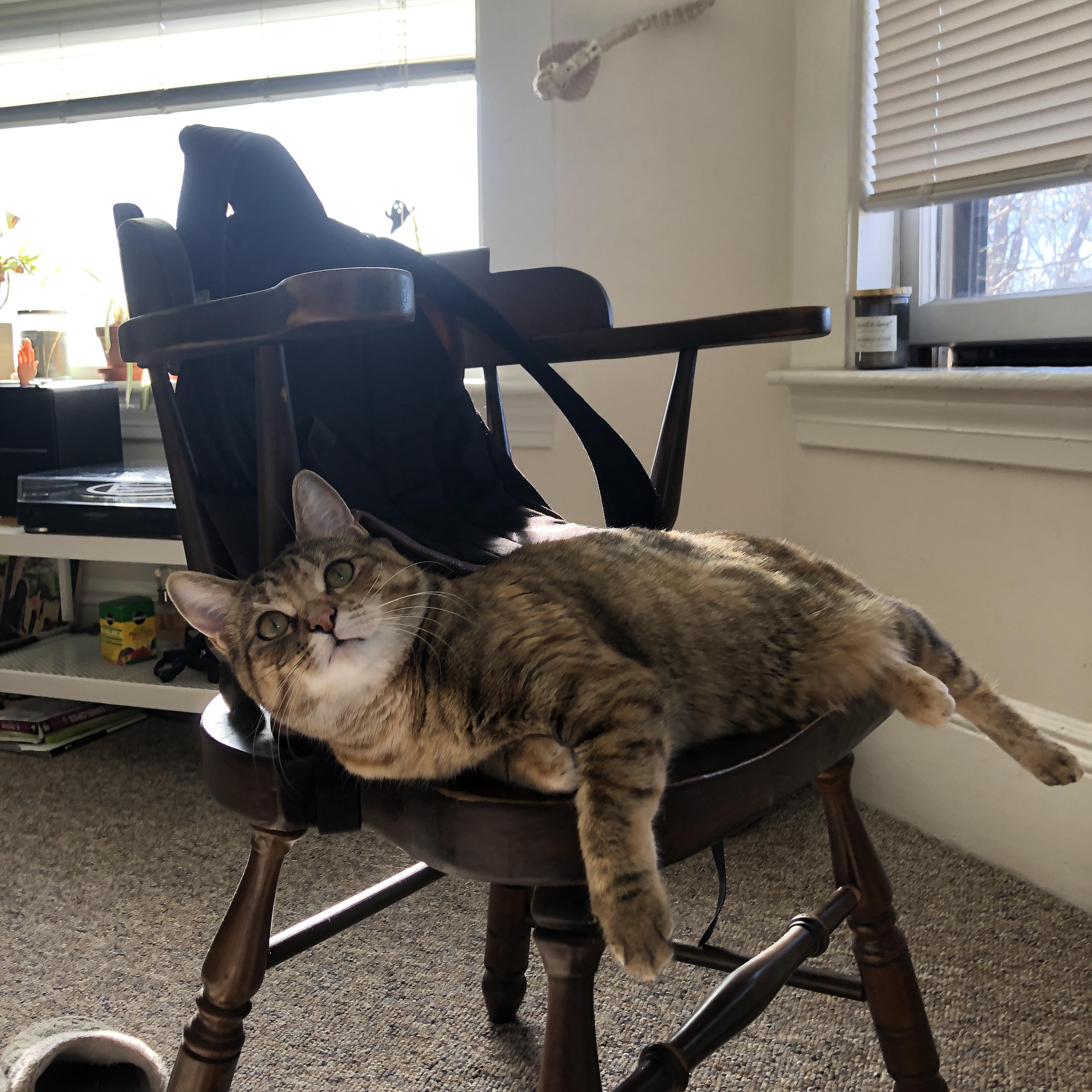 熊猫体育平台-“2025世界运动会：短柄墙球在高新区全民健身馆赛场上，谁能成为头脑与力量的双重冠军？”