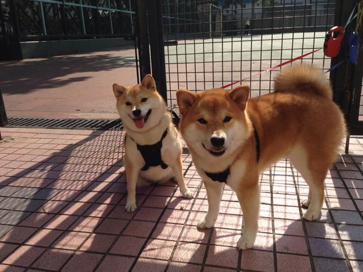 “高新体育中心网球赛:选手突破极限,赛场紧张刺激”