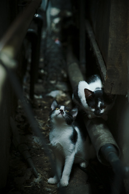 熊猫体育下载-体育新闻中心协助地方体育局提升数字传播能力和水平，体育数据新闻